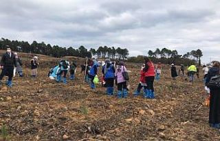 Sinop’tan “Geleceğe Nefes” kampanyasına destek