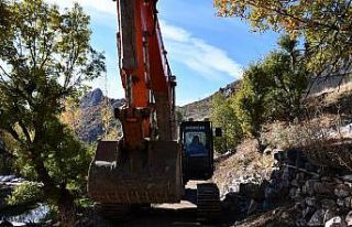 Şırnak’ta arıcılar için bal ormanlarına yol...