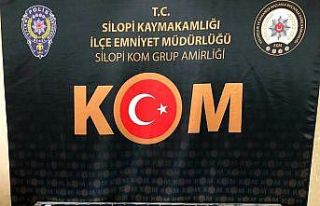 Şırnak’ta kaçakçılara darbe: 41 gözaltı