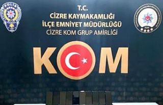 Şırnak’ta kaçakçılık operasyonu: 25 gözaltı