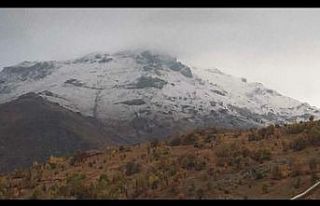 Sivas’a mevsimin ilk karı yağdı