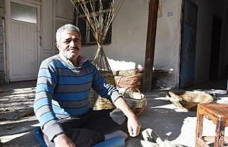 Söğüt ağacından sepet yapıyor
