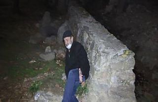 Sokağa çıkma kısıtlamasını ormanda geçirmeye...