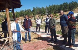Sokak hayvanlarına müdahale eğitimi