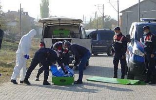 Sokak ortasında dehşete düşüren manzara