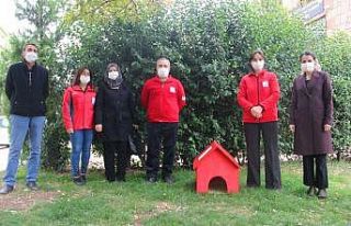 Sokakta üşüyen hayvanlar için barınaklar yaptılar