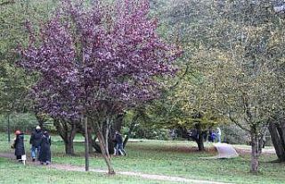 Sonbaharda tatilciler Gölcük’e akın etti