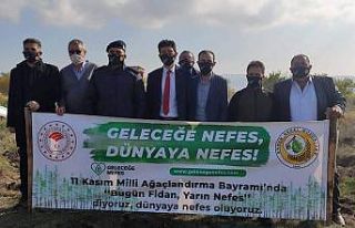 Şuhut’ta 500 fidan toprakla buluştu