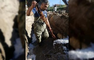 Suların az akmasının sebebi kunduz çıktı