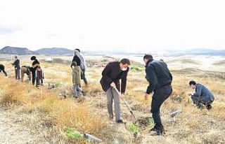 Sungurlu Adalet Ormanı’na 200 fidan dikildi