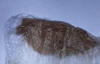 Şüpheli şahsın üzerinden uyuşturucu çıktı