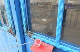 Süt kazanına girip banyo yaptı