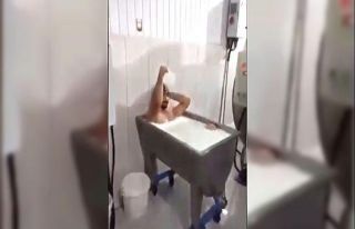 Süt kazanında banyo keyfi yapanlar tutuklandı