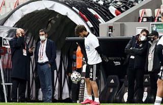 Taraftardan Adem Ljajic tepkisi