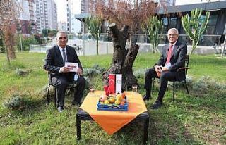 Tarhan: “Mezitli’ye değer katacağız demiştik,...