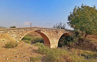 Tarihi Danışman Köprüsü yıllara meydan okuyor