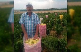Tarlada çalışanlar, kovaları havaya fırlatarak...