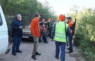 Tatil sitesini basan domuz sürüsü böyle görüntülendi