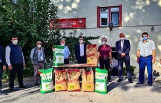 Tavşanlı’da çiftçilere Macar Fiği, Korunga...