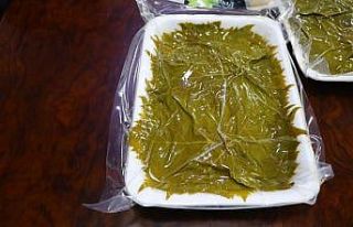 Tekirdağ’ın "Yapıncak salamura asma yaprağı"...