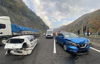 TEM otoyolunda kaza: 2 yaralı