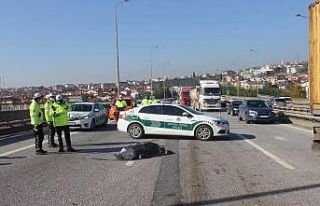 TEM’de feci şekilde can verdi