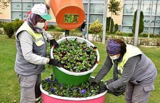 Tepebaşı çiçekler ile güzelleşiyor