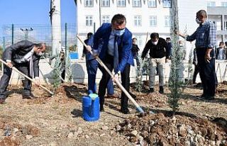 Teröristlerin yaktığı ormanlar yeniden hayat buluyor