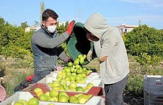Tescilli Lamas limonu hasadı bereket duası ile başladı