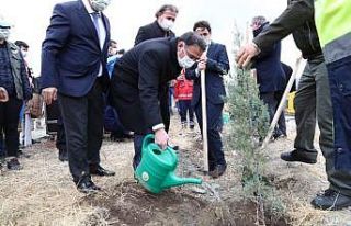 Tokat’ta 4 bin fidan toprakla buluştu