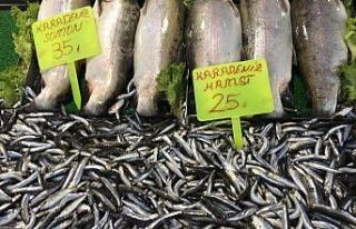 Tokat’ta hamsi fiyatları düşüşe geçti