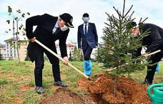 Trabzon’da 40 bin fidanla toprakla buluştu