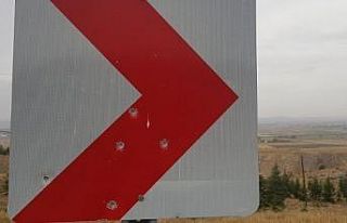 Trafik levhasını atış poligonuna çevirdiler