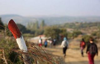 Troya Kültür Rotası yenileniyor