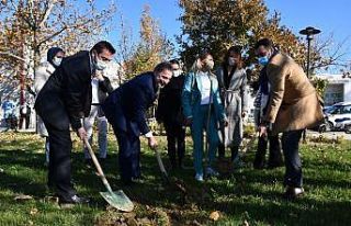 TSE binasının fidanları, Kestel Belediyesi’nden