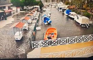 Tsunaminin yeni görüntüleri ortaya çıktı