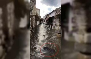 Tsunamiye kapılan babaannesini görünce yıkıldı