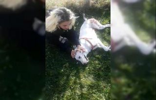 Tüfekle vurulan köpeğine sarılarak böyle feryat...