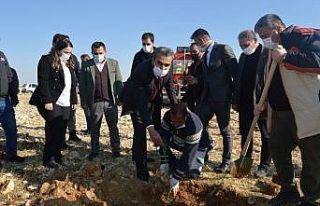 TÜGVA Besni temsilciliği fidan dikimi gerçekleştirdi