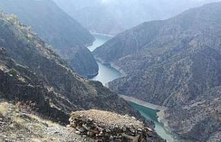 Tunceli’de 18 güme bertaraf edildi, 3 şahsa işlem...