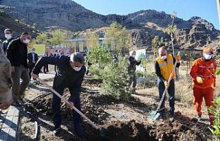 Tunceli’de binlerce fidan toprakla buluştu
