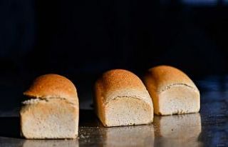 Türkiye’nin “ensiyez ekmeği” halk ekmek’ten