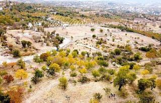 Tut’ta yayla evleri için ayrılan parsellerde talep...