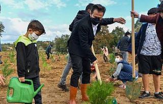 Tuzla Belediyesi 600 adet  fidan dikti
