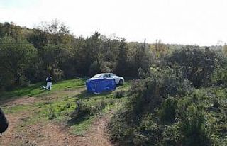 Tuzla’da ormanlık alanda erkek cesedi bulundu