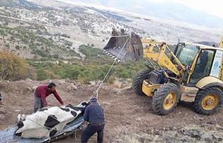 Uçuruma düşen inek kurtarıldı