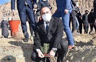 Ülkü ocaklarından Alparslan Türkeş hatıra ormanı
