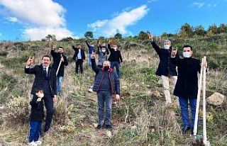 Ülkücüler, Alparslan Türkeş anısına fidan dikti