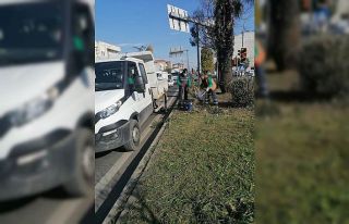 Umurlu’da yeşil alan temizlik çalışmaları devam...