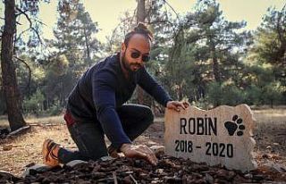 Üniversite öğrencisi ölen köpeğine kampüste...